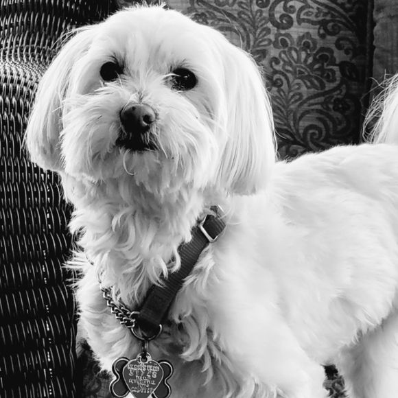 Meet your Posher, Joanne - Picture 1 of 1